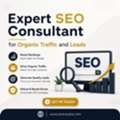 Expert SEO Consultant For Organic Traffic And Leads