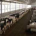 Turnkey Dairy Farm Solution Provider Vansun Technology In India