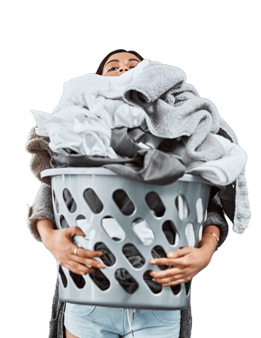 New York, Cleaning, LaundryNest Express - Free Laundry Pickup & Delivery In NJ