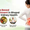 Ayurveda Based CKD Treatment In Bhopal For Better Kidney Health