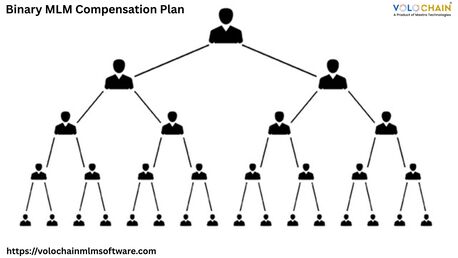 Noida, Software Development, Scale Up With Binary MLM Compensation Plan Services