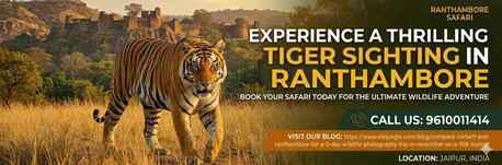 Jaipur, Travel, Tracking The Wild: Your Guide To A Tiger Sighting In Ranthambore