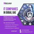 Professional IT Companies In Dubai For Secure Business Operations