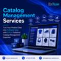 Turn Your Product Data Into Profitable Sales With Catalog Management Expertise
