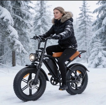 Tampa Bay, Bicycles, USD 2900,  2026 20" E-Bike 250W 48V E-Mountain Bike 45km/h Offroad Moped Electric Motorcycle-