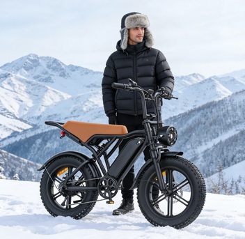 Tampa Bay, Bicycles, USD 2900,  2026 20" E-Bike 250W 48V E-Mountain Bike 45km/h Offroad Moped Electric Motorcycle-