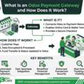 What Is An Odoo Payment Gateway And How Does It Work?