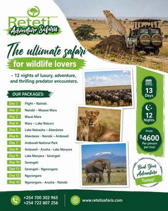 Nairobi, Travel, Best Tanzania Safari Packages From India And Kenya Tanzania Tour Packages