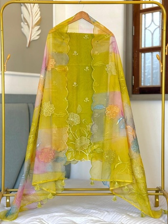 New Delhi, Wholesale Products, Exclusive Banarasi Organza Applique Work 3 Pc Salwar Suit