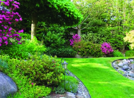 New York, Farm/Garden, Sustainable Trends Transforming Silicon Valley HOA Landscapes