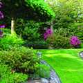 Sustainable Trends Transforming Silicon Valley HOA Landscapes