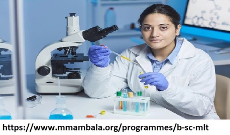 Chandigarh, Education, Top Bsc Mlt Colleges In India