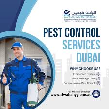 Abu Dhabi, Business, Eliminate Pests Fast With Trusted Pest Control In Dubai | Al Waha Hygiene