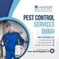 Eliminate Pests Fast With Trusted Pest Control In Dubai | Al Waha Hygiene