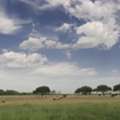 Holistic Ranch Management South Texas Sustainable Land Livestock Care