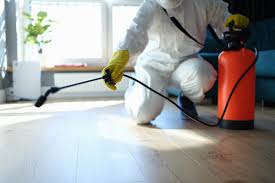 Abu Dhabi, Pest Control, Protect Your Home And Business With Reliable Pest Control In Dubai | Al Waha Hygiene