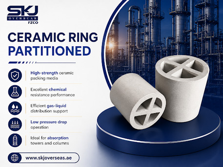 Silicon Oasis, Business, Durable Ceramic Ring Partitioned Packing For Process Towers