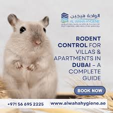 Abu Dhabi, Pest Control, Rodent Problem? Get Professional Rodent Control Dubai Today | Al Waha Hygiene