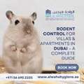 Rodent Problem? Get Professional Rodent Control Dubai Today | Al Waha Hygiene