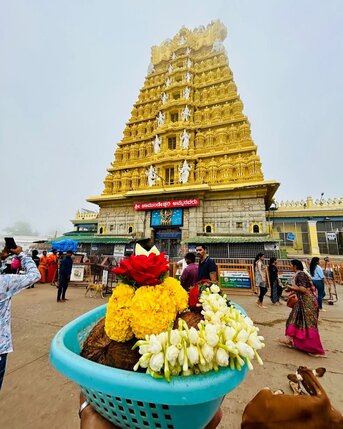 Mumbai, Travel, Mysore Tour Packages