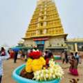 Mysore Tour Packages