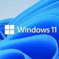 INR 200, Windows 11 Pro And MS Office 365