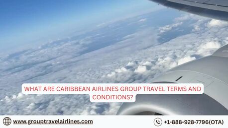 New York, Travel, What Are Caribbean Airlines Group Travel Terms And Conditions?
