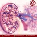 Chronic Kidney Disease Diagnosis & Treatment In Mumbai | Dr. Chandan Chaudhari
