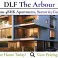 DLF The Arbour Sector 63 Gurgaon Apartments