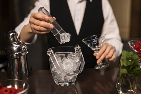 Tbilisi, Appliance Repair, Professional Ice Maker Repair Service Near You