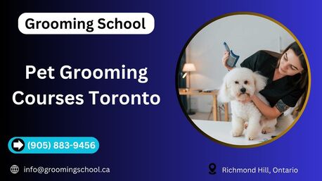 Toronto, Beautician, Pet Grooming Courses Toronto | Grooming School