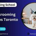 Pet Grooming Courses Toronto | Grooming School