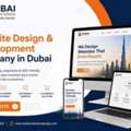 Best Website Design & Development Company In Dubai