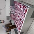 SAR 1700,  Bedroom Set & Dining Set