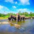 Discover Sri Lanka Holidays Package For Culture & Tropical Adventures