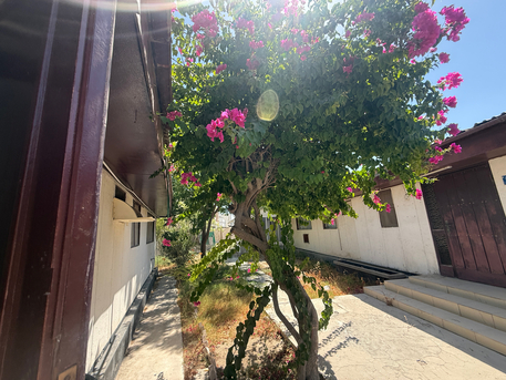 Jid Ali, Apartments, Flats, Houses & Villas, BHD 320/year,  3 BR,  Garden Villa 3 Bhk Compound Villa