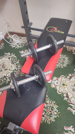 Sulaymania, Sports, Gym Bench With Plates And Rod