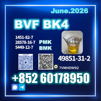 Moscow, Materials, Usd 140,  BVF CAS 49851-31-2 BK4 Safe Transport