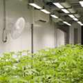 Shop For Grow Room Wall Panels From Duramax For Affordable Pricing