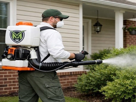 New York, Pest Control, The Mosquito Man