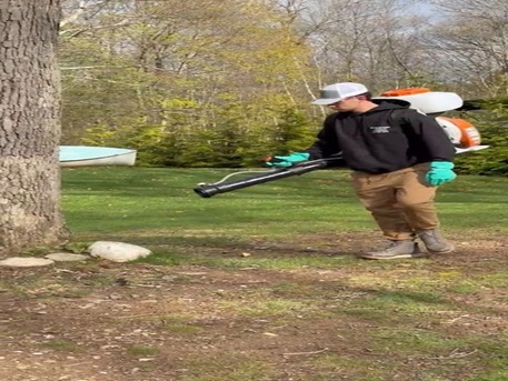 New York, Pest Control, The Mosquito Man