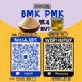 CNY 50,  CAS 5449-12-7BMK Powder Vendor Management Glycidic Acid Sodium Salt 28578-16-7 PMK Safety