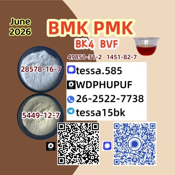 Hong Kong, Businesses For Sale, 5449-12-7 Secure Cargo Handling  BMK Glycidic Acid Sodium 28578-16-7 PMK