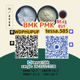 Hong Kong, Businesses For Sale, 5449-12-7 Secure Cargo Handling  BMK Glycidic Acid Sodium 28578-16-7 PMK