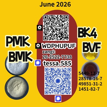 Hong Kong, Businesses For Sale, 5449-12-7 Secure Cargo Handling  BMK Glycidic Acid Sodium 28578-16-7 PMK