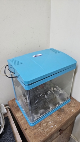 Al Iskan, Pet Supplies, SAR 120,  Aqerium