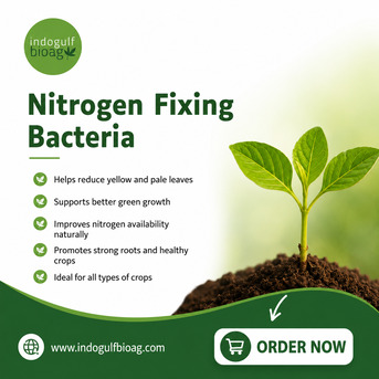 New York, Farm & Garden, USD 45,  Poor Vegetative Growth In Crops? Try Nitrogen Fixing Bacteria &ndash; Buy Now