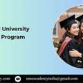 Uttaranchal University Online BBA Program