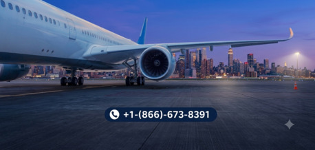 New York, Travel, How Many Bags Can You Take On Cathay Pacific Flights?
