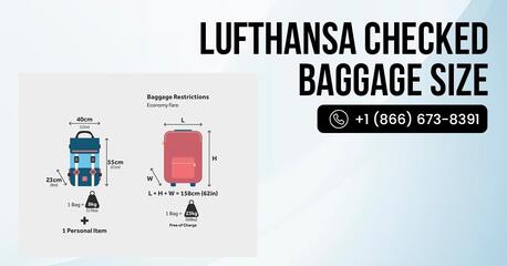 New York, Travel, Can I Check In Online For Lufthansa International Flights?